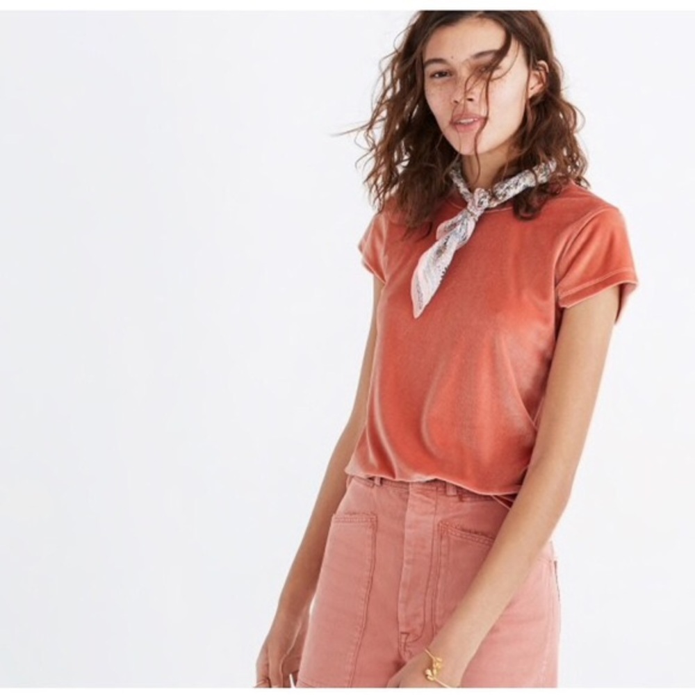 Madewell Velvet Crewneck Tee Medium